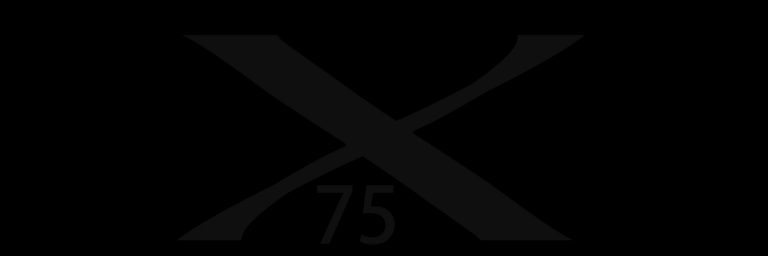 Federico Gavazzi X75